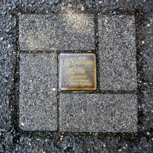 Stolperstein für Rosa Tammler, Walther-Rathenau-Strasse 93, Zwickau (1)