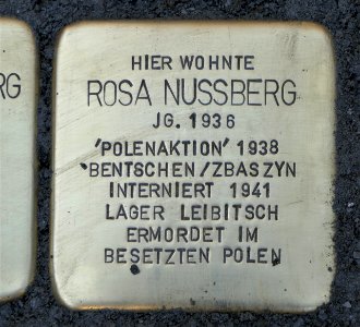 Stolperstein für Rosa Nussberg, Barbarossastraße 55, Chemnitz