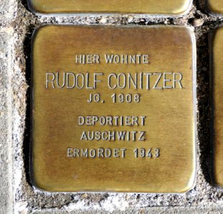 Stolperstein für Rudolf Conitzer, Salzer Straße 15–17, Schönebeck (Elbe)