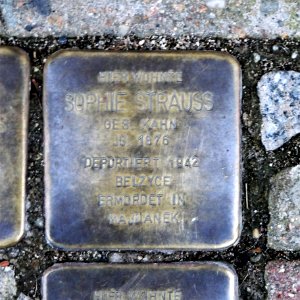 Stolperstein für Sophie Strauss, Nossener Strasse 11, Roßwein