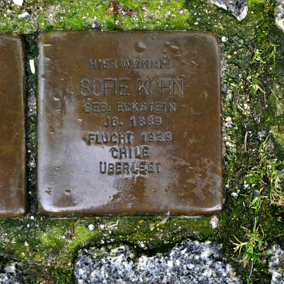Stolperstein für Sofie Kohn, Tuchmacherstrasse 2, Bautzen