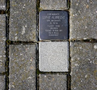 Stolperstein für Sophie Albrecht, Goethestrasse 42, Hainichen (2)