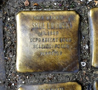 Stolperstein für Srul Lwowski, Leipziger Strasse 15, Zwickau