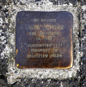 Stolperstein für Tauba Schorr, Karl-Marx-Strasse 25, Grimma