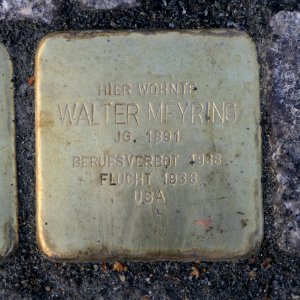 Stolperstein für Walter Meyring, Krenkelstraße 23, Dresden
