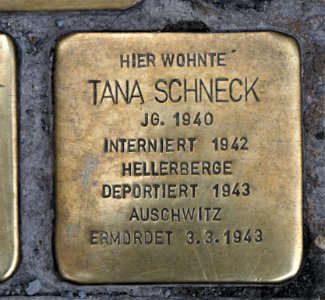 Stolperstein für Tanna Schneck, Seestraße 7, Dresden