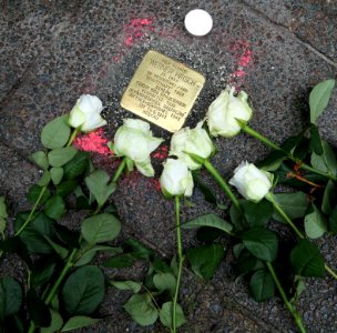 Stolperstein für Werner Hirsch, Karl-Immermann-Straße 23, Chemnitz (3)
