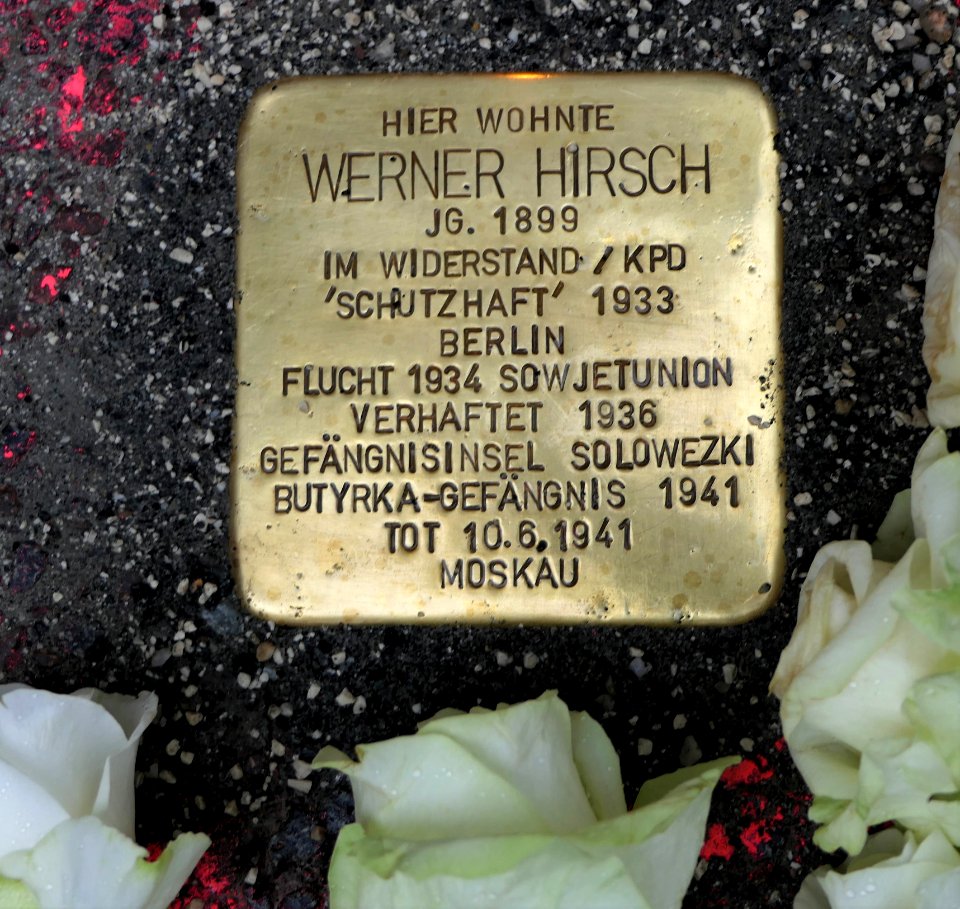 Stolperstein für Werner Hirsch, Karl-Immermann-Straße 23, Chemnitz (5)