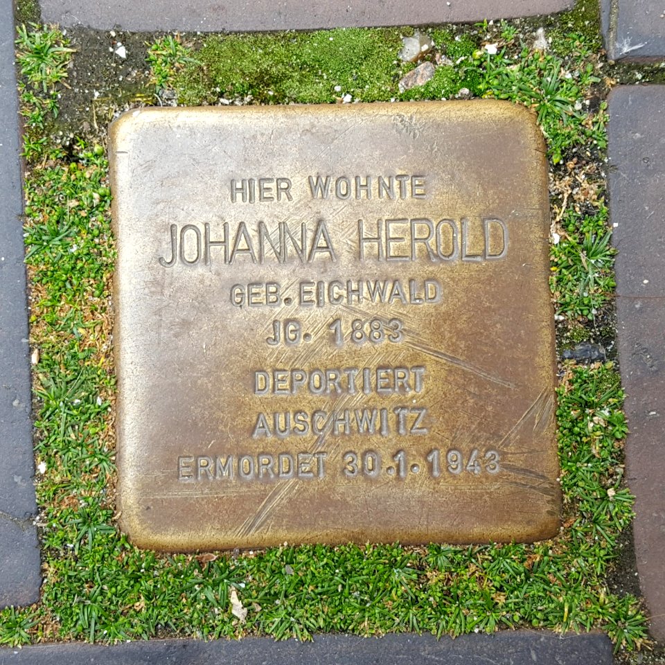 Stolperstein Herold Johanna