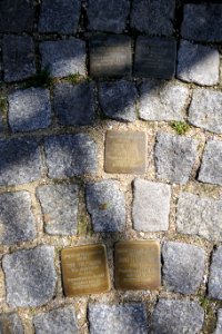 Stolpersteine Alter Steinweg 16, Zwickau