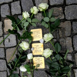 Stolpersteine für David Klebe und Familie Nathan, Am Rathaus 8, Chemnitz