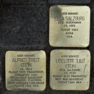 Stolpersteine für Elsa Salzburg und Familie Stein, Tiergartenstraße 18, Dresden (1)
