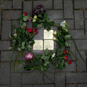 Stolpersteine für Elsa Salzburg und Familie Stein, Tiergartenstraße 18, Dresden (2)
