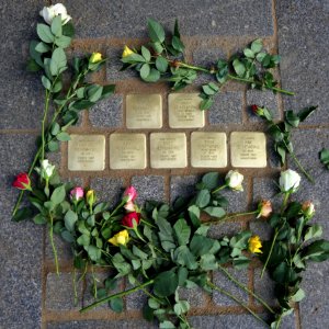 Stolpersteine für Familie Blumenkranz, Wallstrasse 9, Dresden