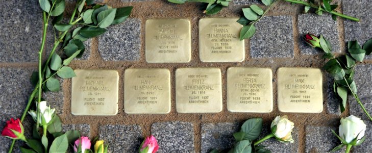 Stolpersteine für Familie Blumenkranz, Wallstrasse 9, Dresden (2)