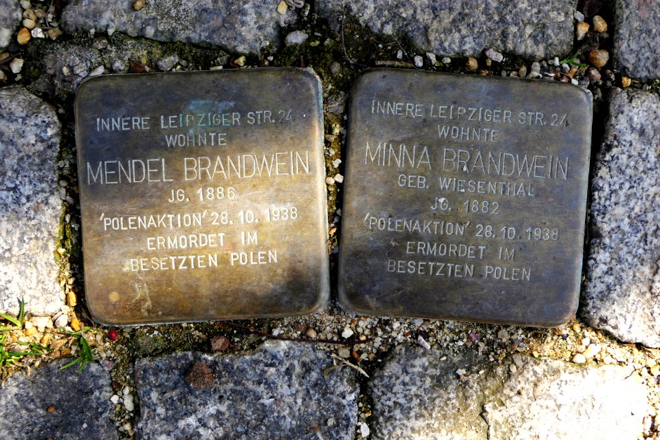 Stolpersteine für Familie Bandwein, Alter Steinweg 16, Zwickau