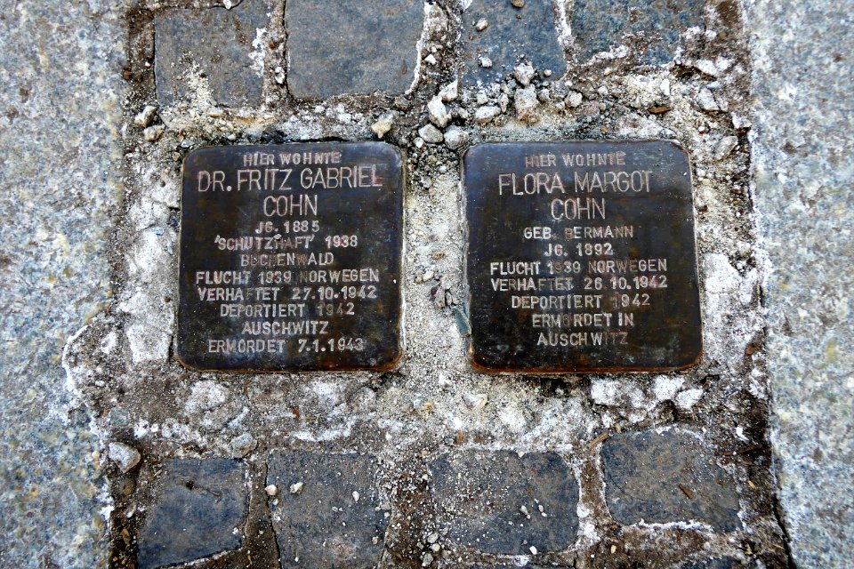 Stolpersteine für Familie Cohn, Eulitzstrasse 5-7, Chemnitz