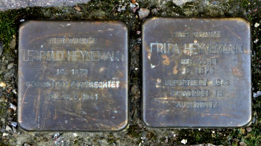 Stolpersteine für Familie Heynemann, Obermarkt 14, Döbeln