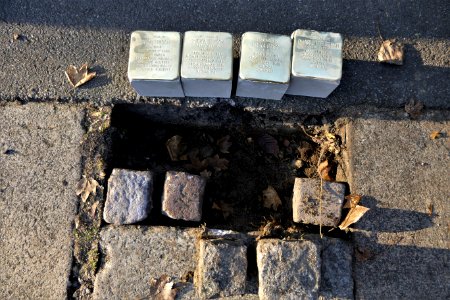 Stolpersteine für Familie Frisch, Wiesenstraße 10, Chemnitz (3)