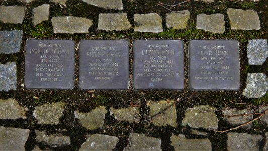 Stolpersteine für Familie Hann, Weinauallee 30, Zittau