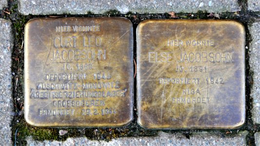 Stolpersteine für Familie Jacobsohn, Albertstrasse 23, Döbeln
