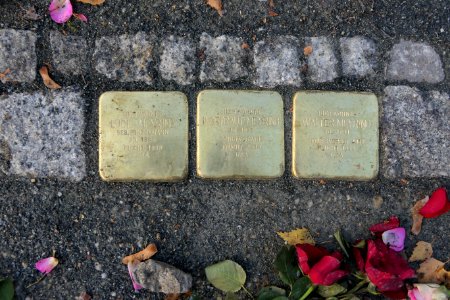 Stolpersteine für Familie Meyring, Krenkelstraße 23, Dresden (1)