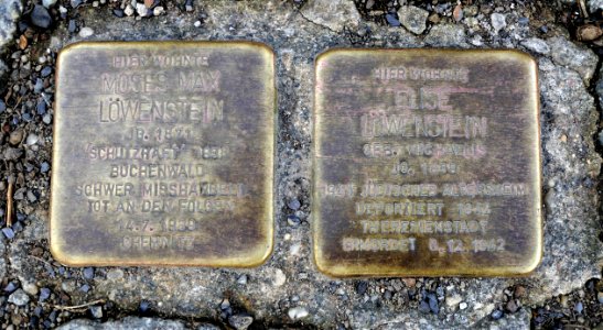 Stolpersteine für Familie Löwenstein, Hübschmannstrasse 19, Chemnitz