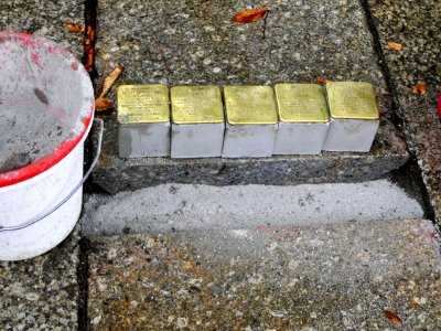 Stolpersteine für Familie Mandel, Weststrasse 7a, Chemnitz (2)