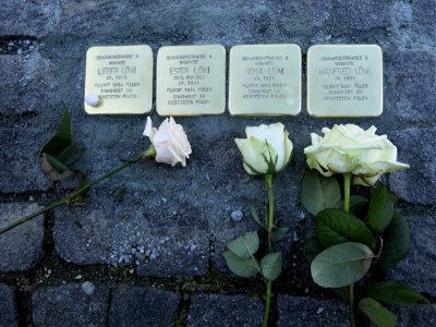 Stolpersteine für Familie Löwi, Karl-Liebknecht-Straße, Chemnitz (3)