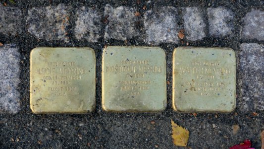 Stolpersteine für Familie Meyring, Krenkelstraße 23, Dresden (2)