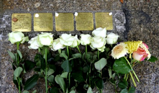 Stolpersteine für Familie Mandel, Weststrasse 7a, Chemnitz (5)