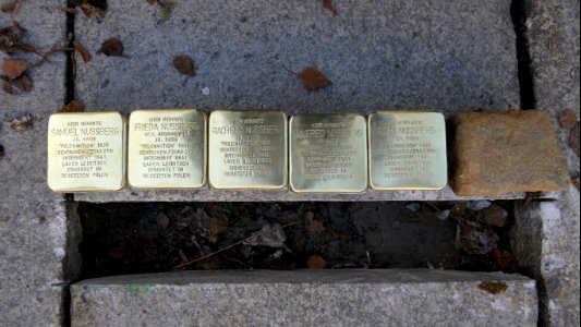 Stolpersteine für Familie Nussberg, Barbarossastraße 55, Chemnitz (2)