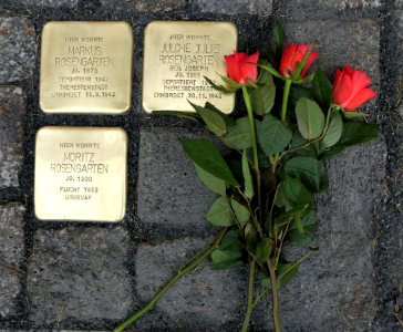 Stolpersteine für Familie Rosengarten, Laubestraße 24, Dresden (1)