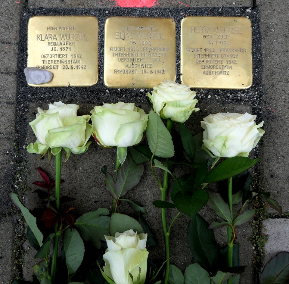 Stolpersteine für Familie Wurzel, Sonnenstraße 3, Chemnitz