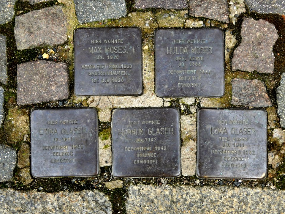 Stolpersteine für Familien Moses und Glaser, Marktgasse 5, Grimma