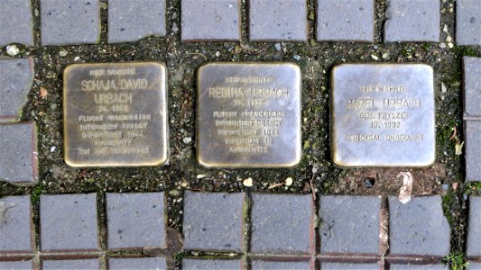 Stolpersteine für Familie Urbach, Pestalozzistrasse 8, Hartha