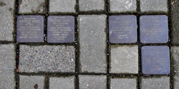 Stolpersteine für Familien Sachs und Scharlach, Parkstrasse 9, Chemnitz