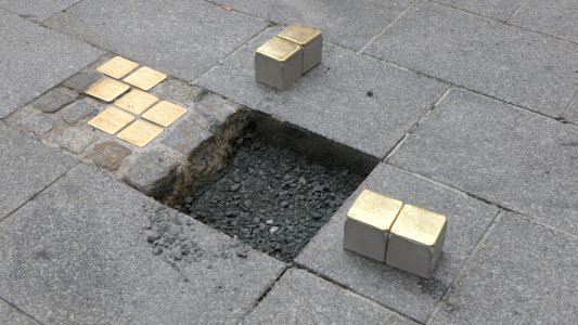 Stolpersteine für Familien Schneck und Hundert, Seestraße 7, Dresden (2)