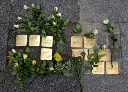 Stolpersteine für Familien Schneck und Hundert, Seestraße 7, Dresden (1)