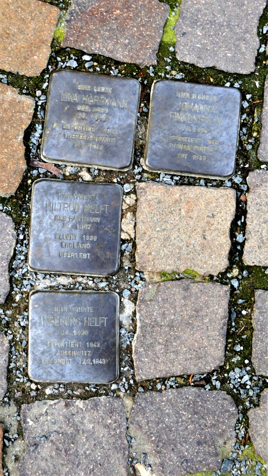 Stolpersteine für Johanna Finkenstein, Lina Hartmann und Familie Helft, Färbergasse 2, Wurzen