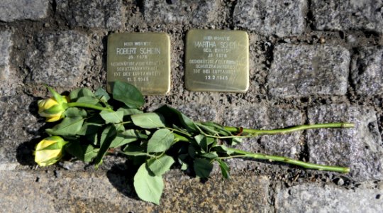 Stolpersteine für Robert und Martha Schein, Königsbrücker Strasse 26, Dresden (2)