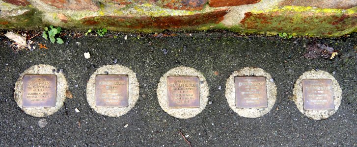 Stolpersteine für Paula Brück, Dorothea Gray und Familie Wolff, Weisbachstrasse 23, Freiberg