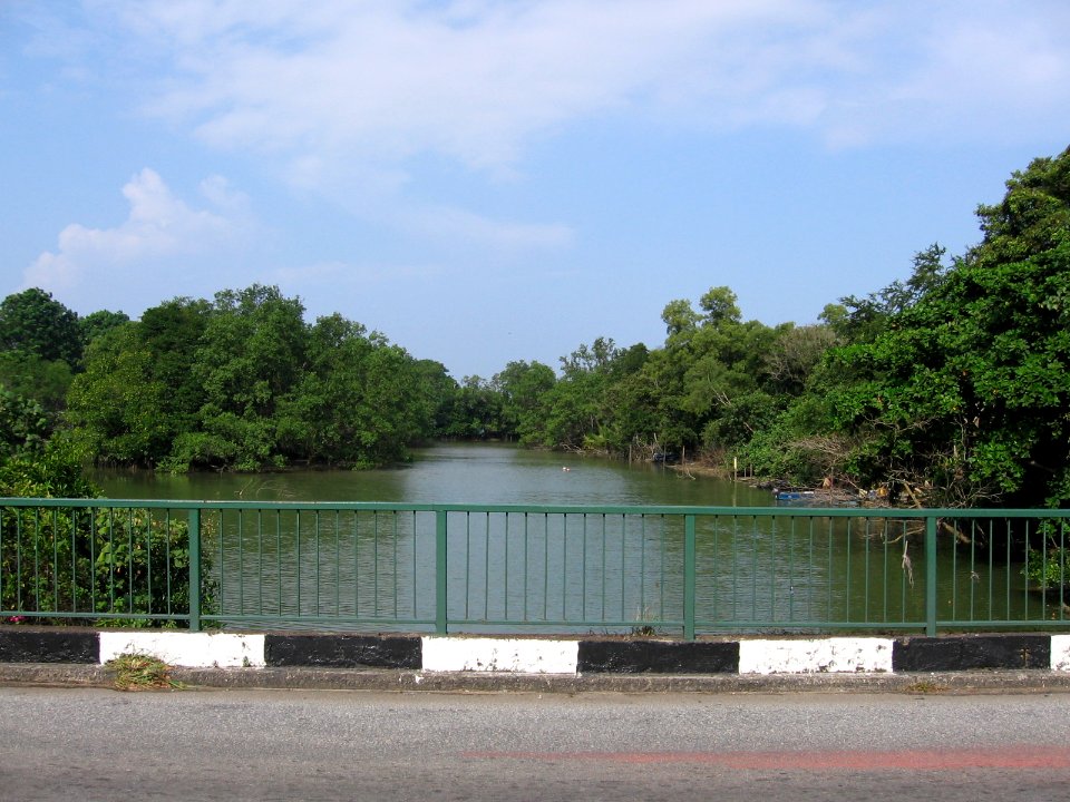 Sungei Changi 20, Jul 06