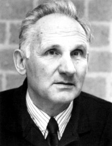 T.F. van der Laan