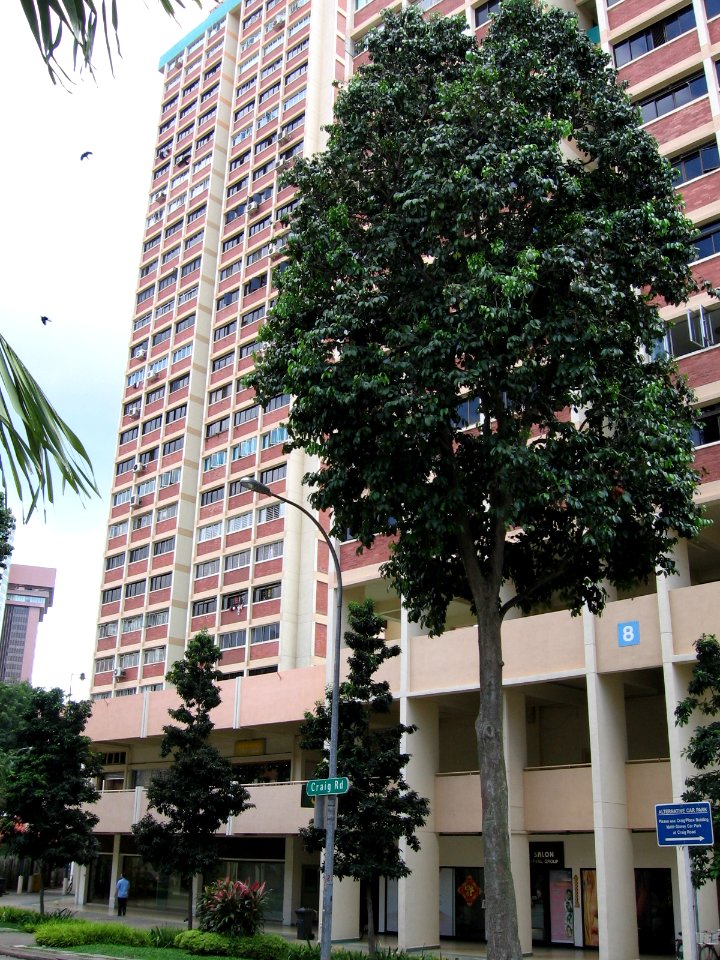 Tanjong Pagar Plaza, Jan 06