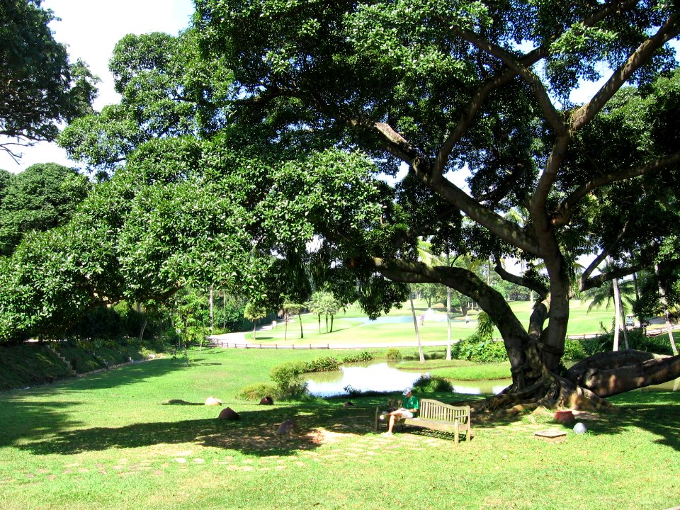 Tanjong Golf Course, Sentosa, Aug 06