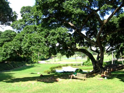 Tanjong Golf Course, Sentosa, Aug 06 photo