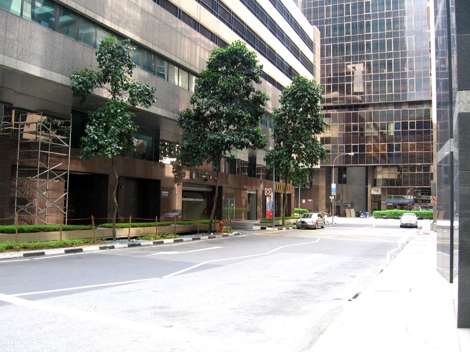 Telegraph Street, Jan 06