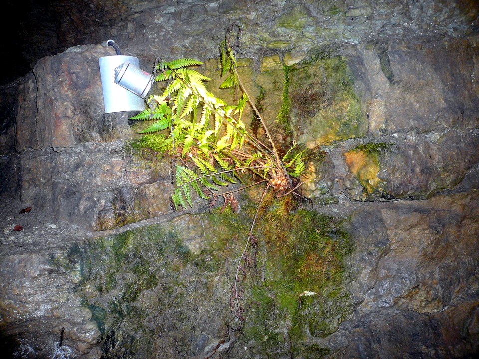 Teufelshöhle Steinau, 3