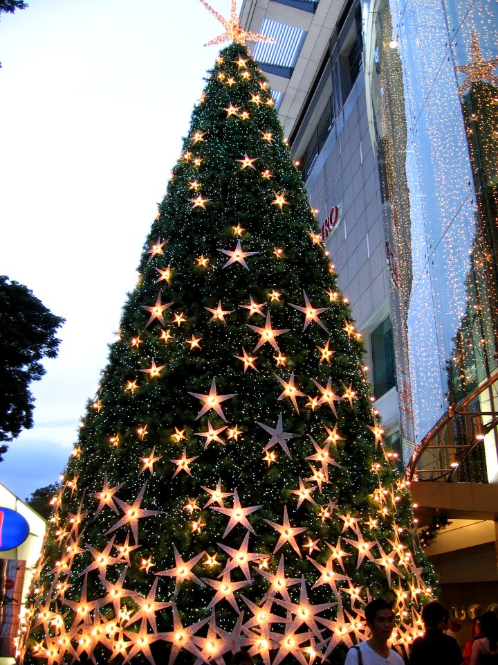 The Paragon 3, Xmas, Dec 06